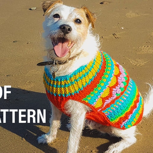 Lumberjack Dog Sweater Crochet Pattern Etsy Canada