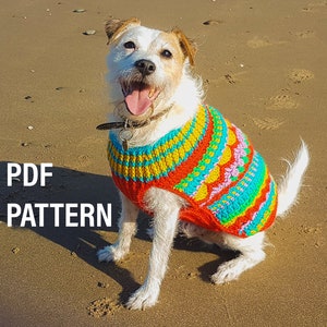 Christmas Crochet dog sweater DIGITAL PATTERN colourful bright holiday jumper dog jacket