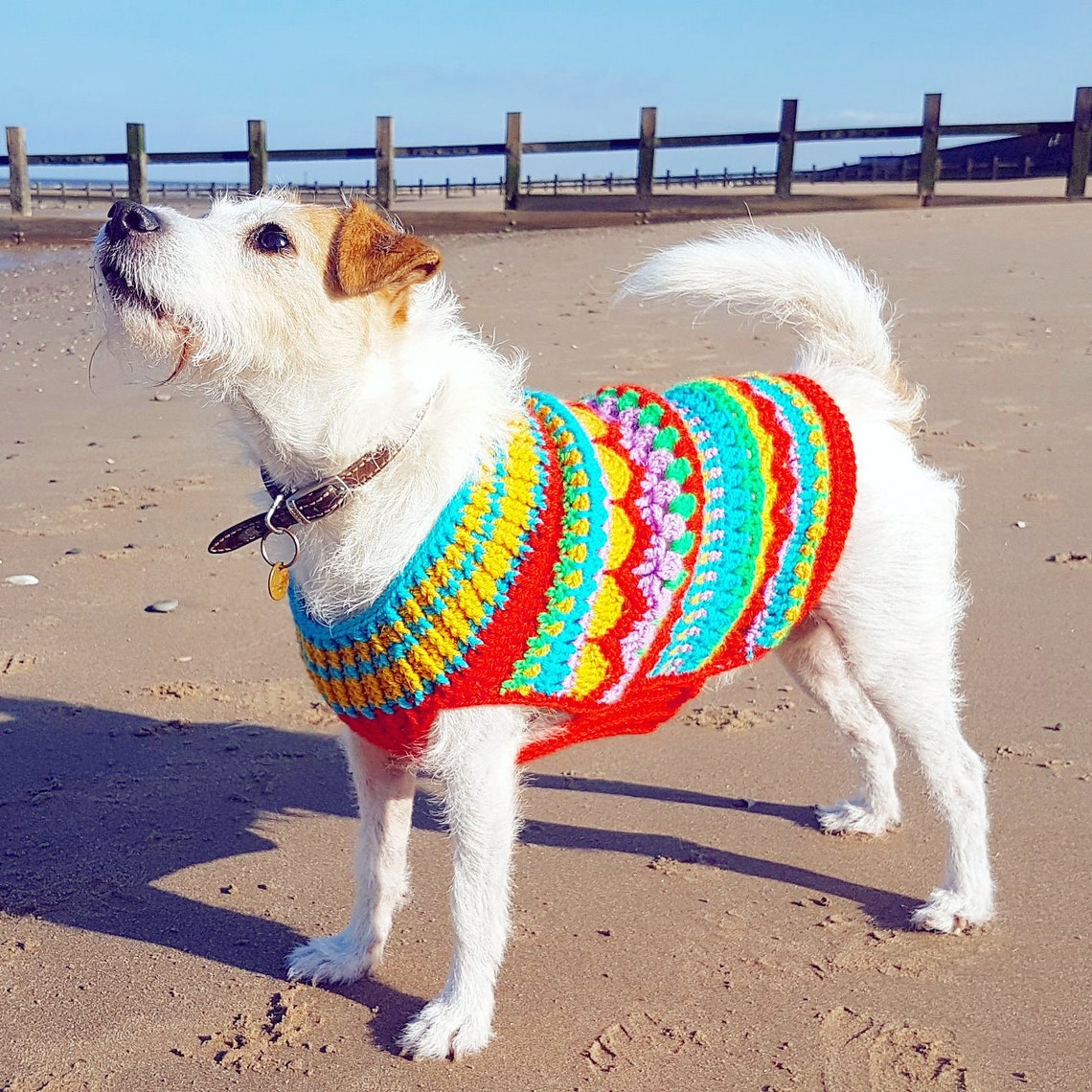 Crochet Dog Sweater Christmas Jumper Pattern Digital Pattern Etsy