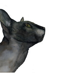 Grey (unframed limited Giclée print)