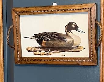Litografía enmarcada de señuelo de pato de madera vintage
