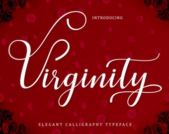 Hollyn Font download, Digital font, Calligraphy font, Script Font, Handwritten font, Wedding font, Brush font, Modern font,Instant download