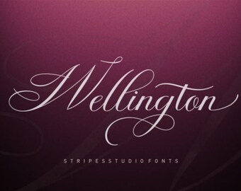 Wellington Font, Digital font, Calligraphy font, Script Font, Handwritten font, Wedding font, Brush font, Modern font,Instant download