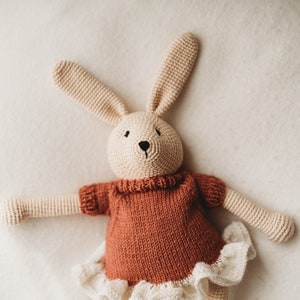 Op de afbeelding: Een gehaakt konijnenknuffel met een roestkleurige trui en een wit kantrokje. Het konijn heeft een beige lichaam en zwarte ogen.