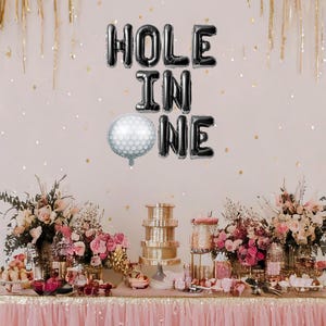Hole in one golf party balloon banner golf themed first birthday, golfing 1st birthday decorations golf party supplies, funny golf theme