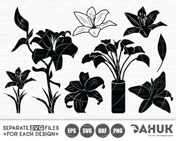 Download Lily Flower SVG Lily svg Flower svg Cut file for | Etsy