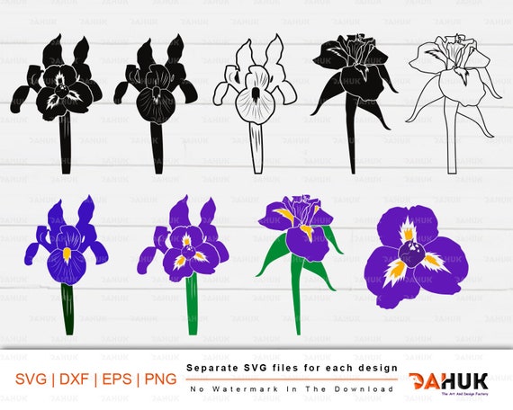 Download Iris Flower Svg Iris Boltanical Blossom Iris Petals Flower Etsy