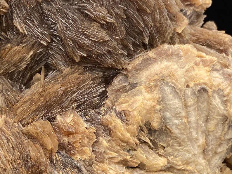May include: Close-up of a brown and gray mineral specimen with a rough, textured surface. The mineral has a layered, flaky appearance with a subtle sheen.