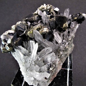 May include: A cluster of black and silver crystals with a clear quartz matrix. The crystals are sharp and well-defined, and the matrix is smooth and polished.