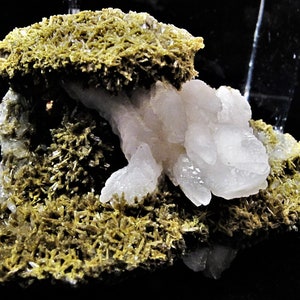 May include: A cluster of white, translucent crystals sits atop a bed of green, fibrous crystals. The crystals are arranged in a natural, organic pattern, creating a visually appealing display.