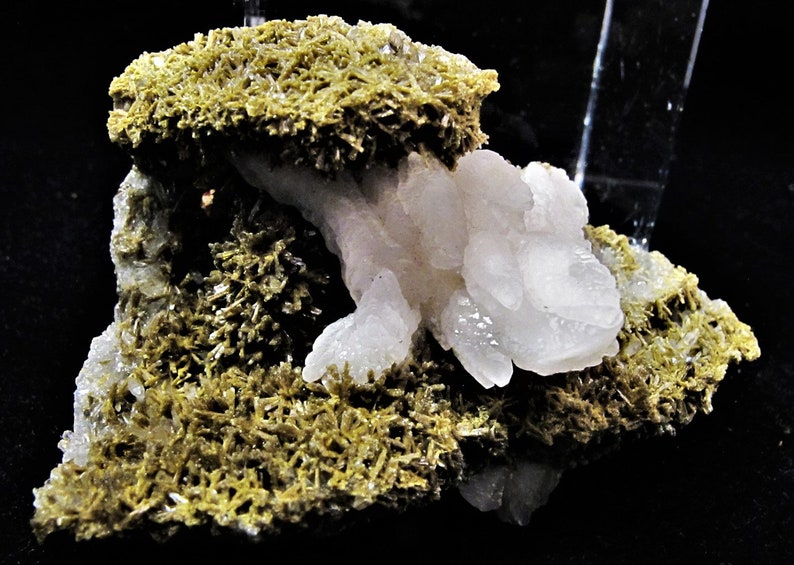 May include: A cluster of white, translucent crystals sits atop a bed of green, fibrous crystals. The crystals are arranged in a natural, organic pattern, creating a visually appealing display.
