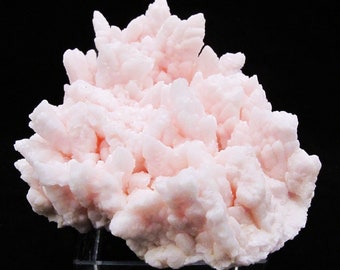 One perfect gift for collectors-an amazing cluster of feather like manganocalcite crystals