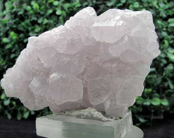 Perfect pink Mangano calcite