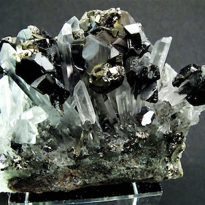 May include: A cluster of clear quartz crystals with black and metallic pyrite crystals. The crystals are arranged in a natural formation on a gray rock base.