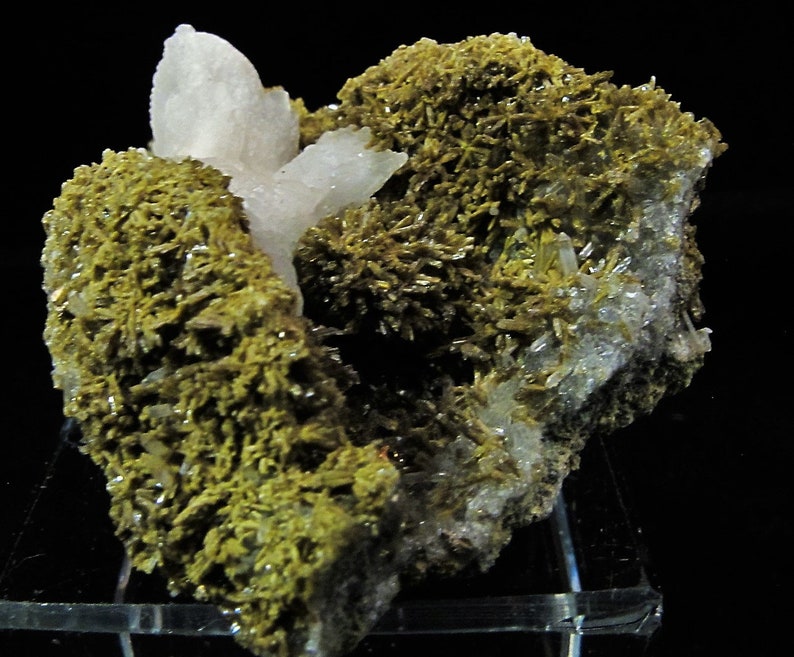 May include: A cluster of green, needle-like crystals with a few white, translucent crystals on top. The crystals are on a dark background.