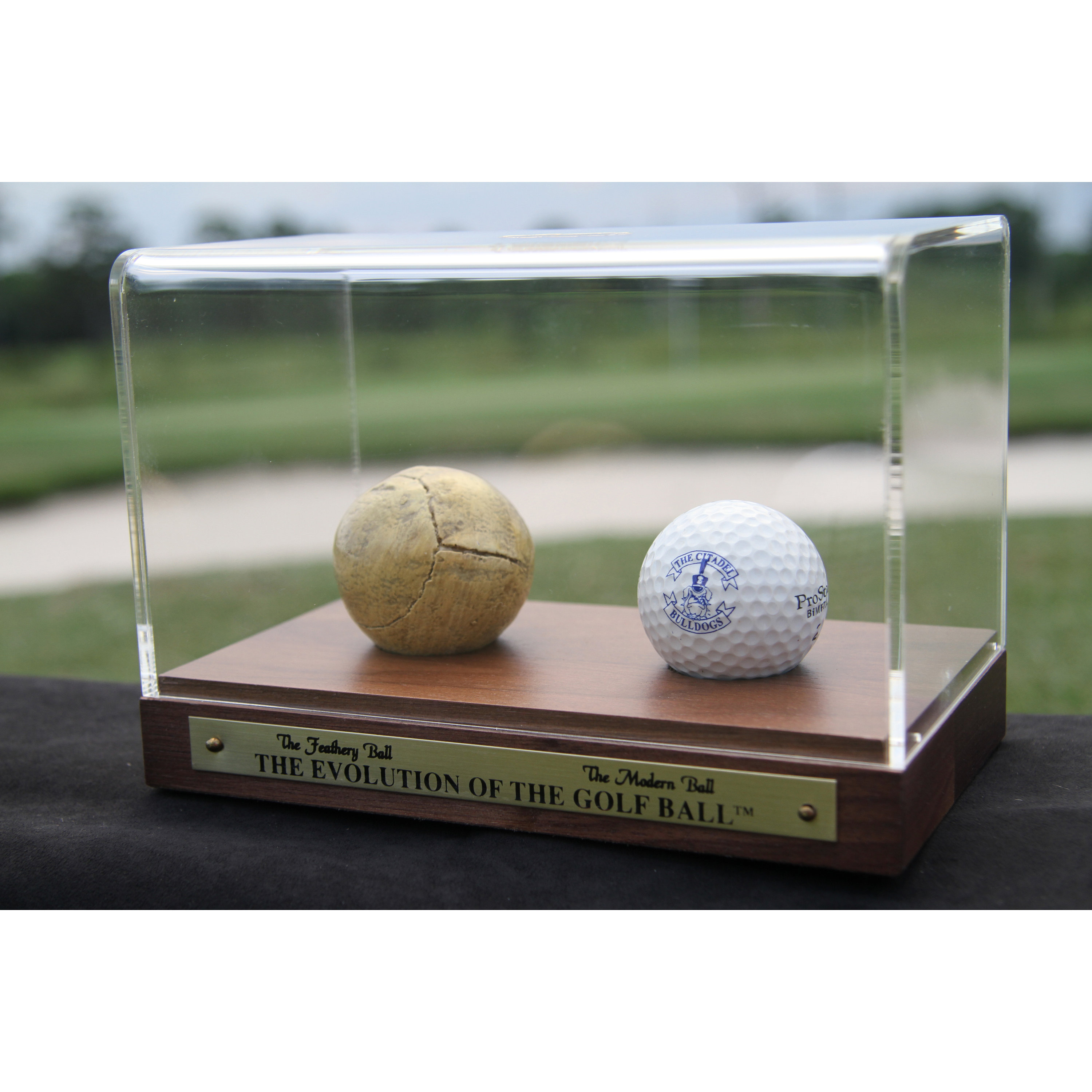 Golf Duo Display Feathery Replica Paired With a Modern Ball. I Can