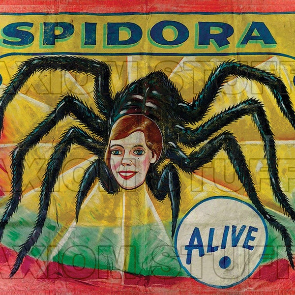 Sideshow Banner - Spidora