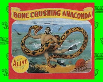 Sideshow Banner - Bone Crushing Anaconda