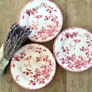French Vintage Set of Three Ironstone Transferware Plates /  Vintage Red and White Plates / Bird Motif /Shabby Chic Decor /French Home Decor