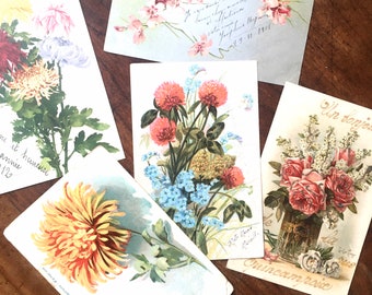 French Vintage Floral Postcard Collection: Early 1900s Ephemera