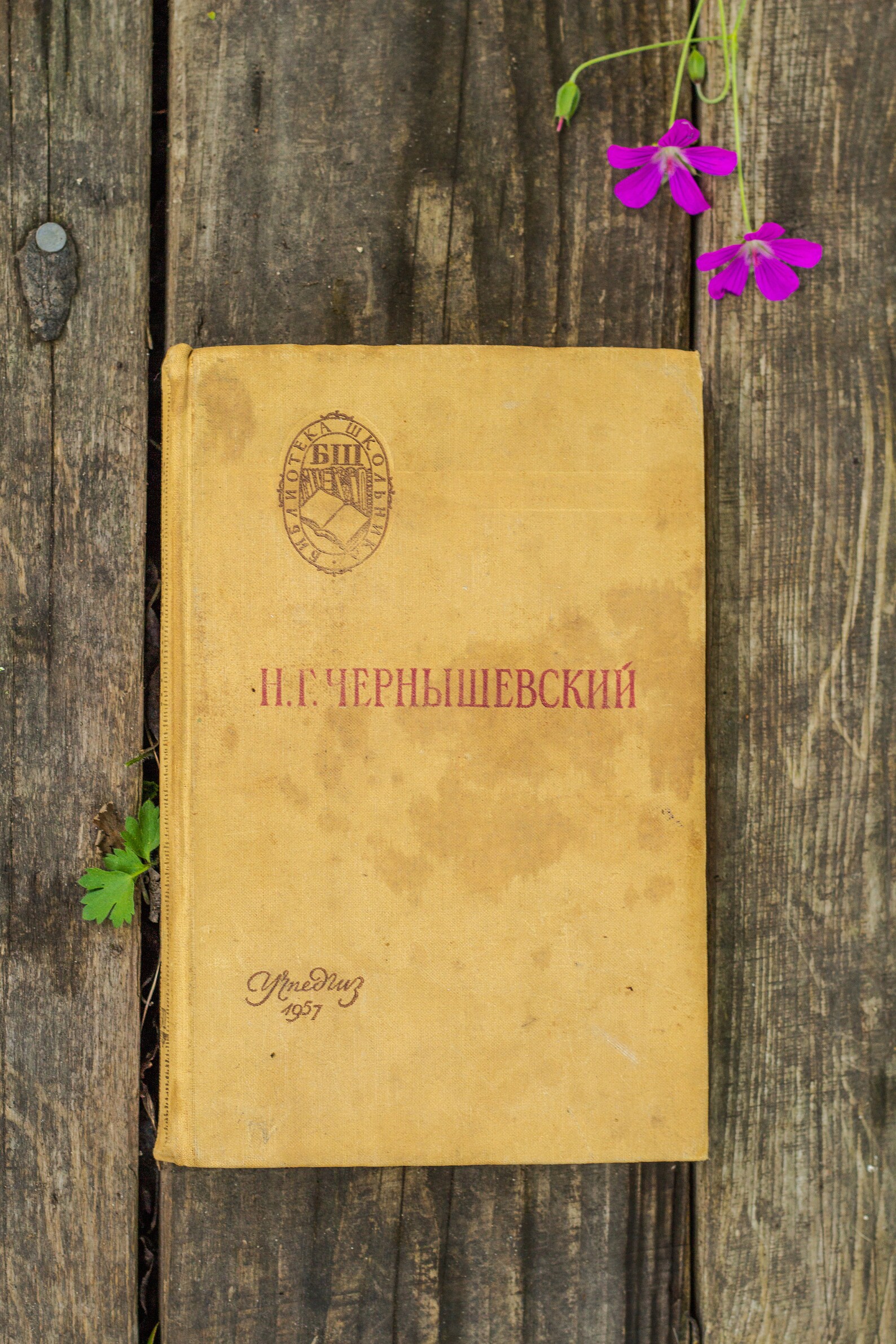 Soviet Rare Books Chernyshevsky What To Do Russian Etsy