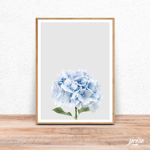 Light Blue Hydrangea Art Hydrangea Print Blue Botanical Etsy