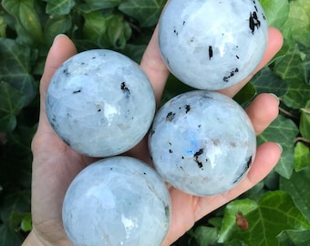 May include: Four polished moonstone spheres, each with a milky white base, black inclusions, and subtle blue iridescence. The spheres are held in an open hand against green foliage, highlighting their natural beauty and spherical form.