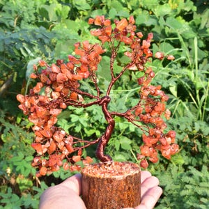 May include: A handcrafted gemstone tree sculpture with a copper wire trunk and branches, adorned with orange-red gemstone leaves. The tree sits on a wooden base, creating a natural and decorative accent piece.