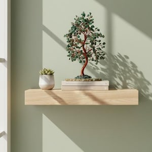 May include: A decorative bonsai tree with a brown trunk and green leaves sits on a light wood shelf. A small succulent in a white pot and two books are also on the shelf. The wall is a muted green color.