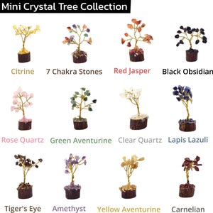 May include: A selection of miniature crystal trees, each featuring a different gemstone. The collection includes Citrine, 7 Chakra Stones, Red Jasper, Black Obsidian, Rose Quartz, Green Aventurine, Clear Quartz, Lapis Lazuli, Tiger's Eye, Amethyst, Yellow Aventurine, and Carnelian.