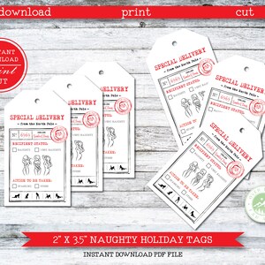 Printable Naughty Holiday Tags Adult Christmas Tags | Etsy