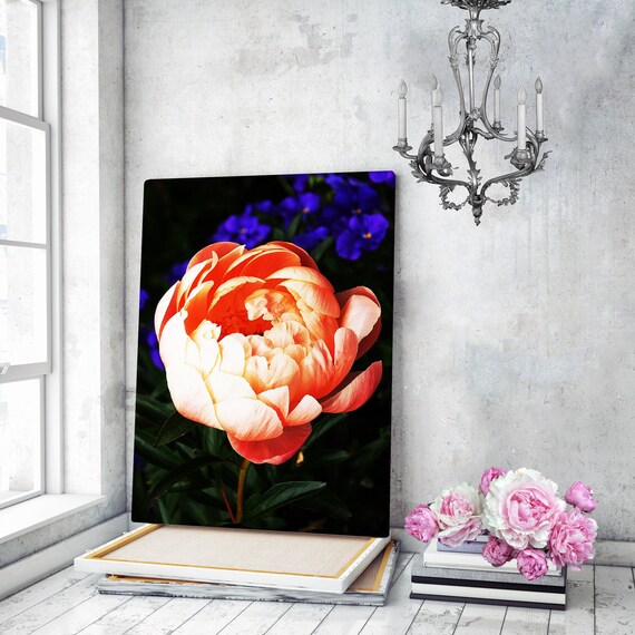 Canvas Wall Art Canvas Art Peony Prints Flowers Prints Peony Etsy