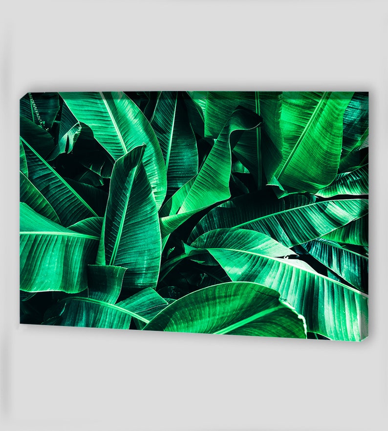 Canvas Wall Art Palm Leaf Wall Art Tropical Banana Leaf Etsy