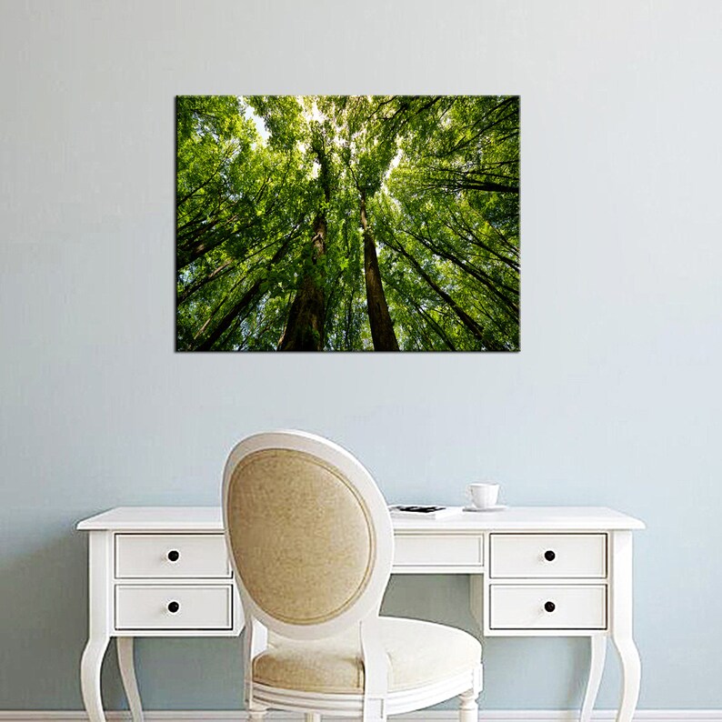 Canvas Art Canvas Wall Art Nature Prints Forest Prints Forest Etsy