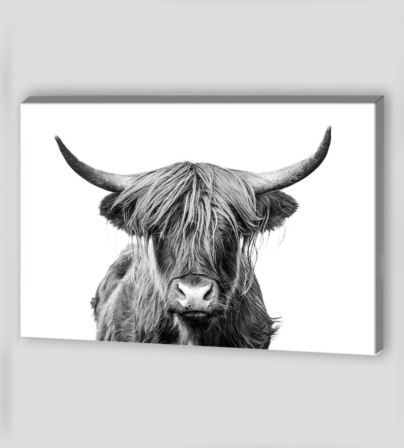 Highland Cow Wall Art Highland Cow Canvas Wall Art Canvas Art Etsy