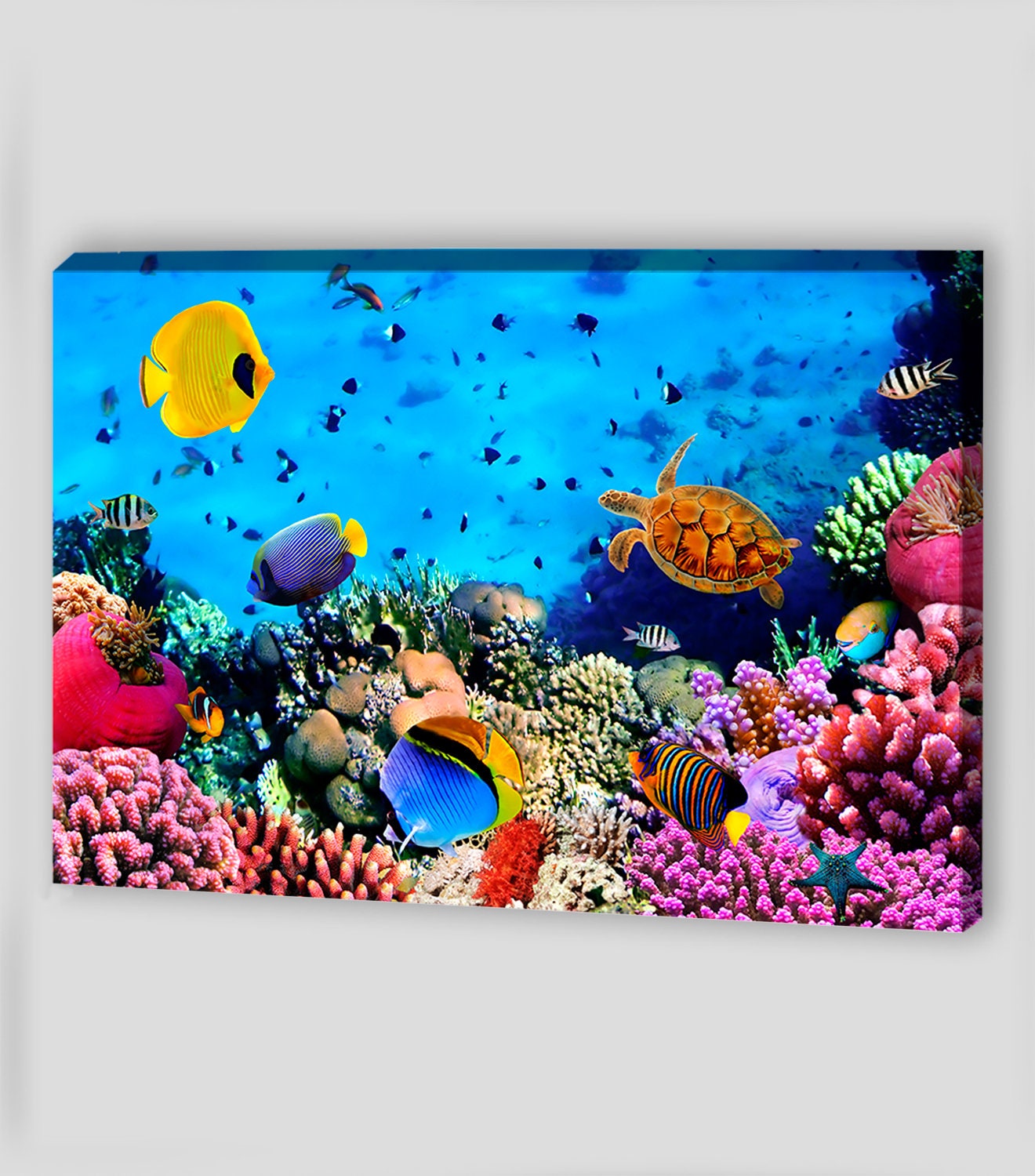 Coral Reef Canvas Art Canvas Wall Art Coral Reef Prints Coral Etsy