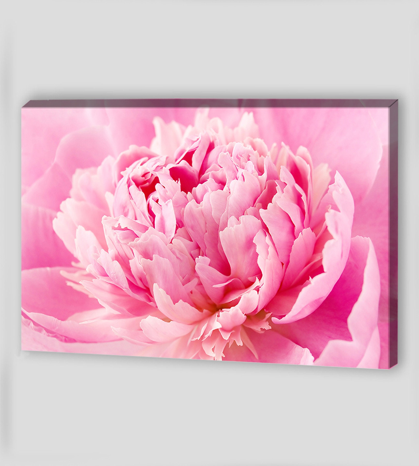 Canvas Wall Art Canvas Art Peony Wall Art Peony Flower Etsy