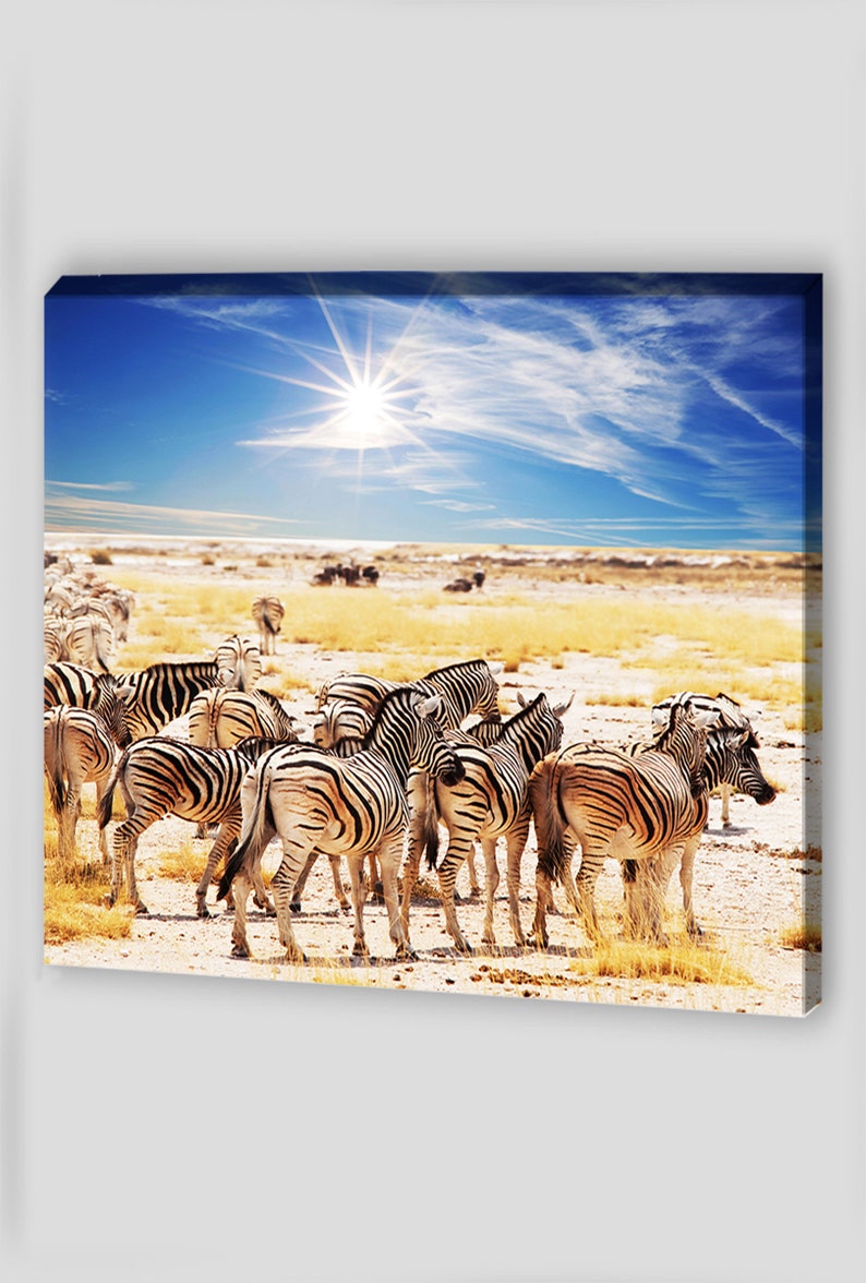Zebra Canvas Wall Art Zebra Canvas Art African Landscape Zebra Etsy