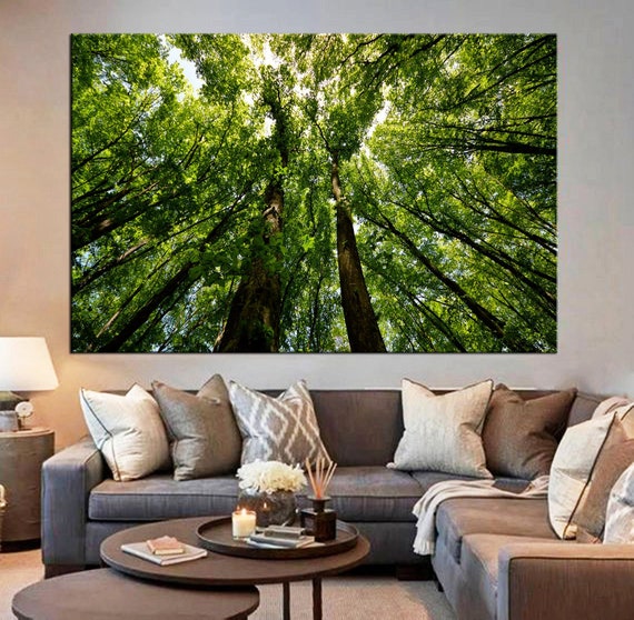 Canvas Art Canvas Wall Art Nature Prints Forest Prints Forest Etsy