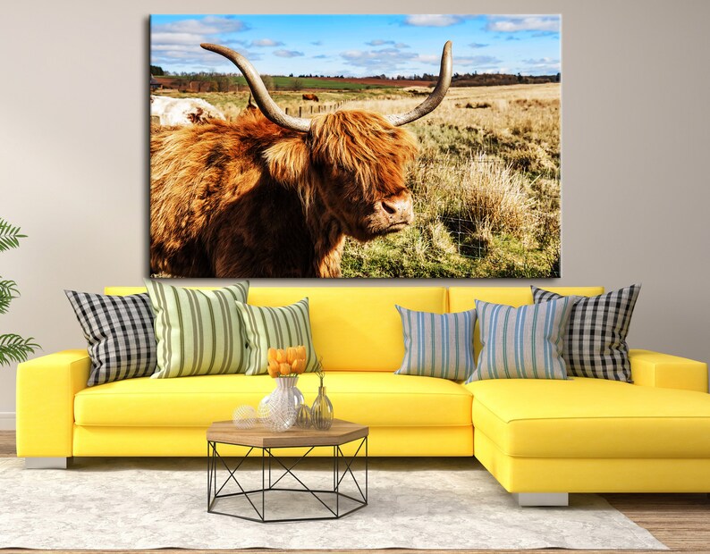 Canvas Wall Art Highland Cow Prints Cow Canvas Art Highland Etsy