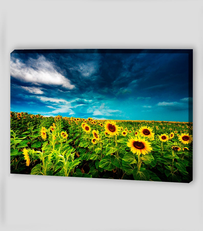 Sunflowers Painting Canvas Wall Art Sunflowers Wall Art Etsy