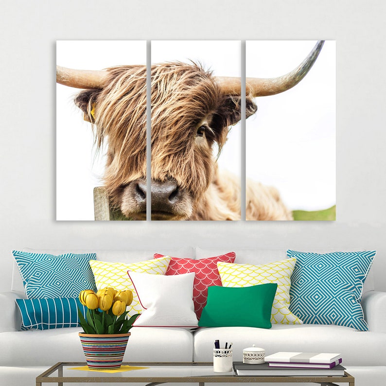 Highland Cow Canvas Wall Art Canvas Art Highland Cow Prints Etsy