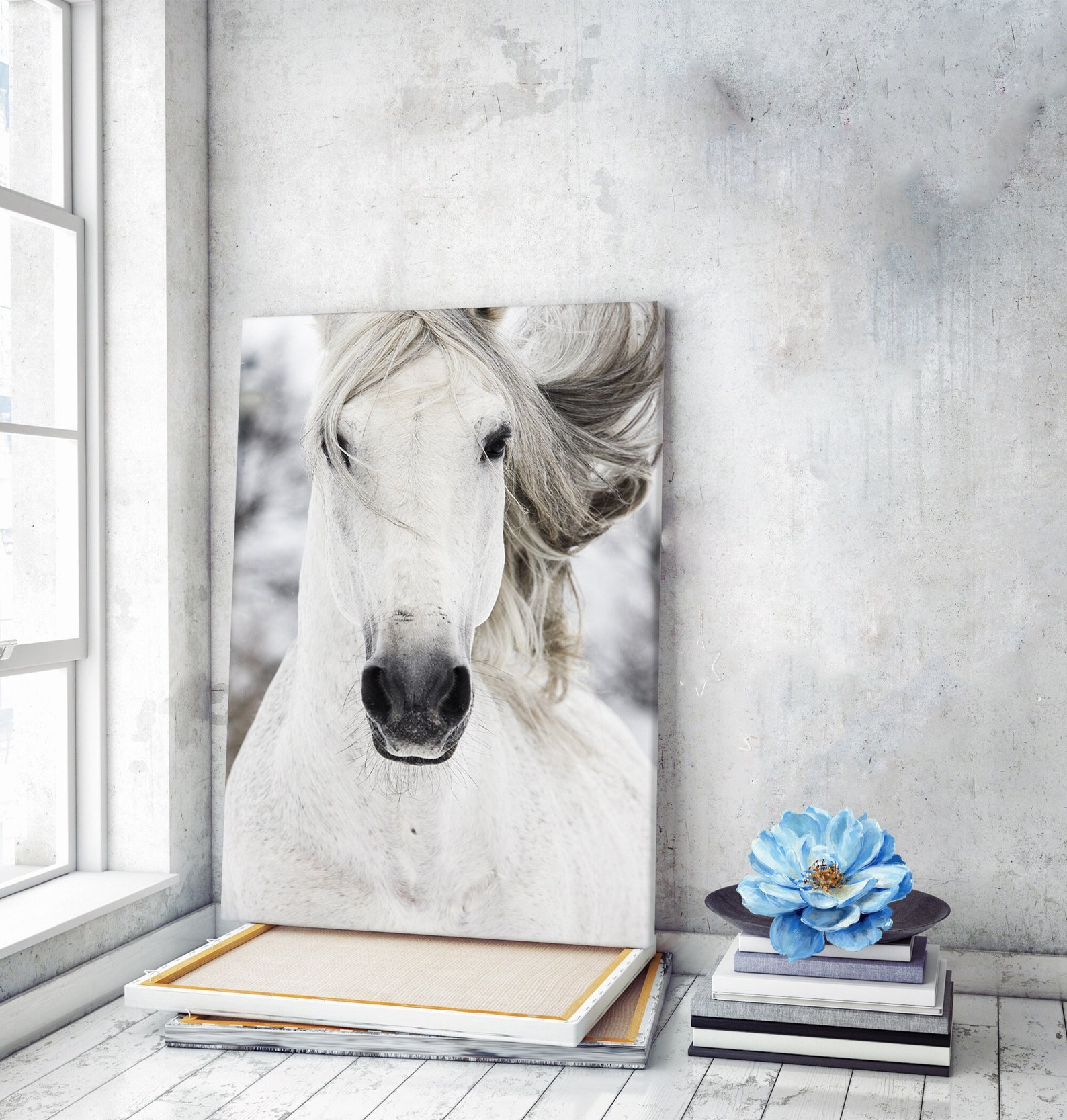 White Horse Canvas Art Horse Wall Art Horse Wall Decor Horse Etsy