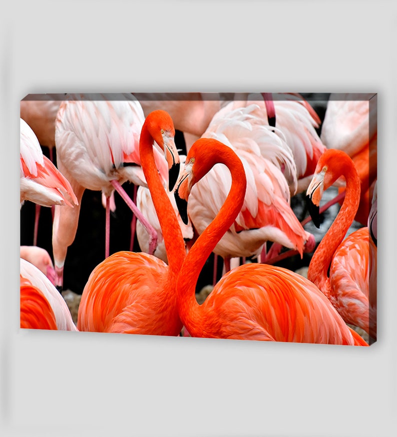 Flamingos Canvas Art Canvas Wall Art Flamingos Wall Art Etsy