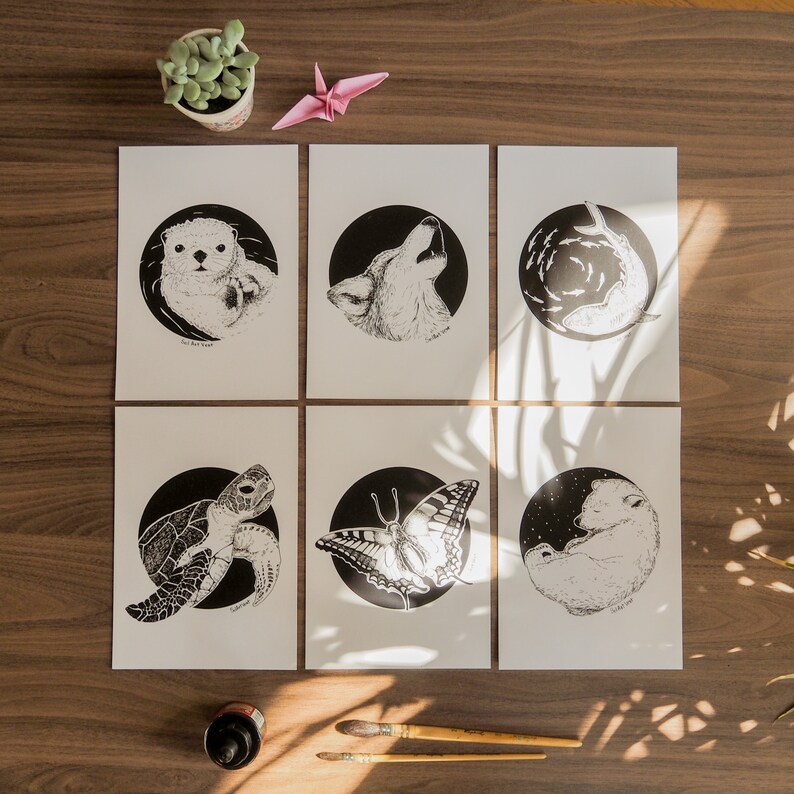 Pack 6 Illustrations Animals A5 Black and White displays