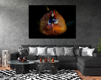 Cock Pheasant Portrait Print – Dramatic Wildlife Wall Art – Colourful Game Bird Photography – Country House Décor