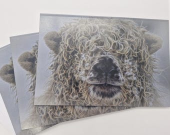 Blank Greetings Card with Greyface Dartmoor sheep portrait.