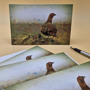 Red Grouse Photo Greetings Card. Countryside British Wildlife Notelet.