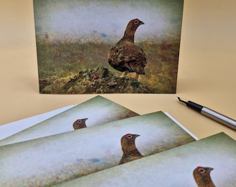 Red Grouse Photo Greetings Card. Countryside British Wildlife Notelet.