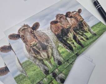 Roan Shorthorn Cows Greetings Card - Yorkshire Farm Animal Note Card